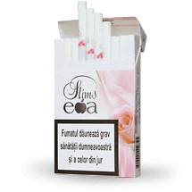 image pour Cartouche Eva Slims Rose